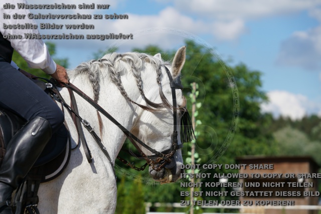 s_K3F04923.JPG